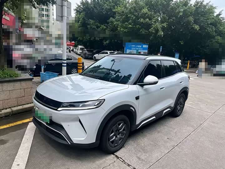 Yuan UP 2025 Intelligent Driving Edition 401KM Vitality Edition