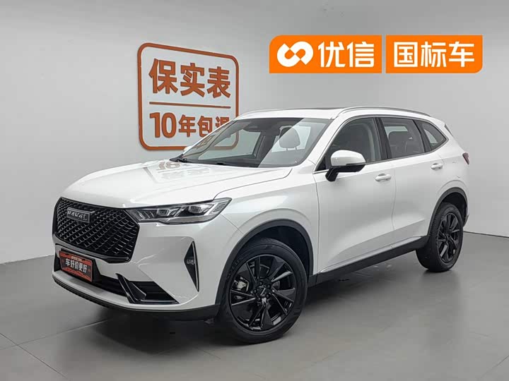 Haval H6 2021 third generation 2.0T automatic two-wheel drive Max