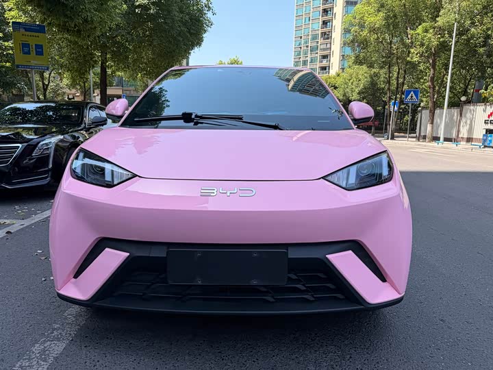 Seagull 2024 Honor Edition 305km Vitality Edition