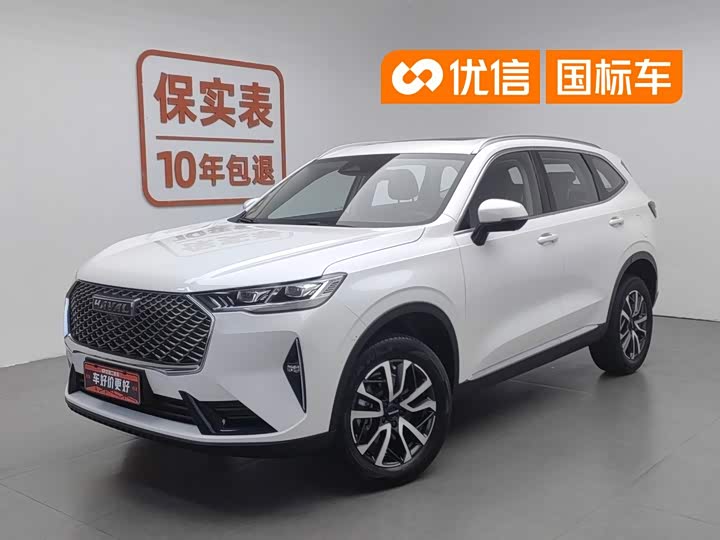 Haval H6 2021 third generation 1.5T automatic two-wheel drive Max
