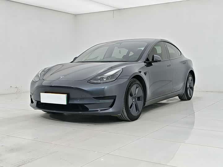 Model 3 2021 standard range rear drive upgraded version 3D6