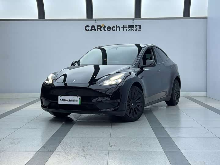 Model Y 2021 long-range all-wheel drive version