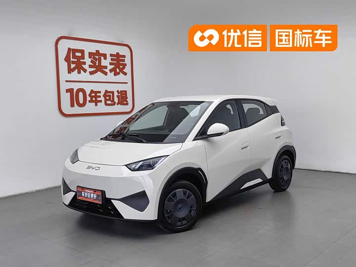 Seagull 2025 Smart Driving Edition 305km Vitality Edition