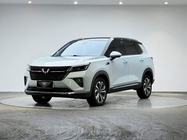Wuling Xingchen 2022 2.0L DHT electric model
