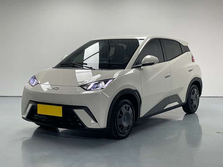 Seagull 2025 305km active version