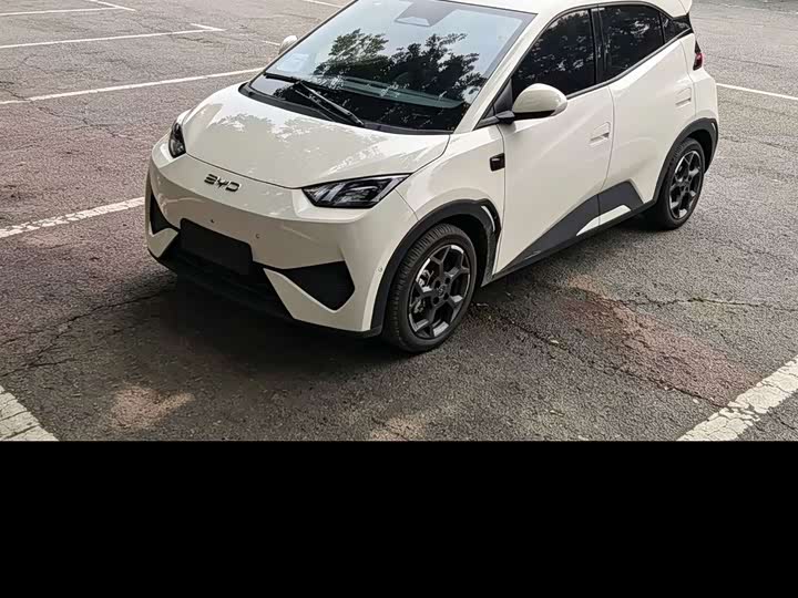 Seagull 2025 smart driving version 405km flying version