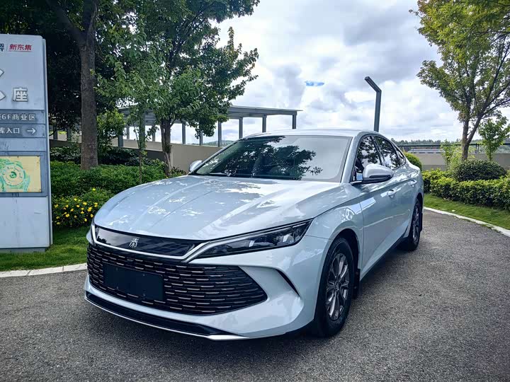Qin L 2024 DM-i 80KM leading model