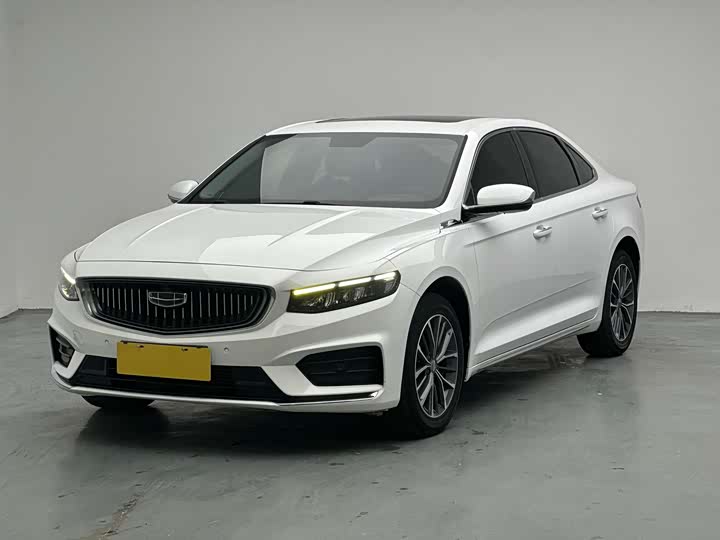 Xingrui 2021 2.0TD luxury model