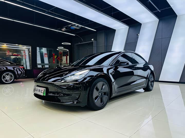 Model 3 2021 facelift standard range rear drive upgraded version 3D1