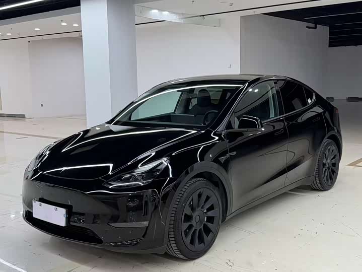 Model Y 2021 standard range rear-wheel drive version