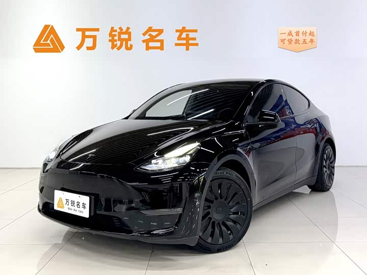 Model Y 2021 standard range rear-wheel drive version