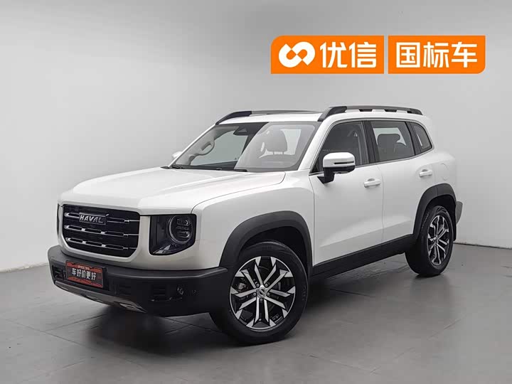 Haval Big Dog 2021 1.5T DCT two-wheel drive Border Collie version