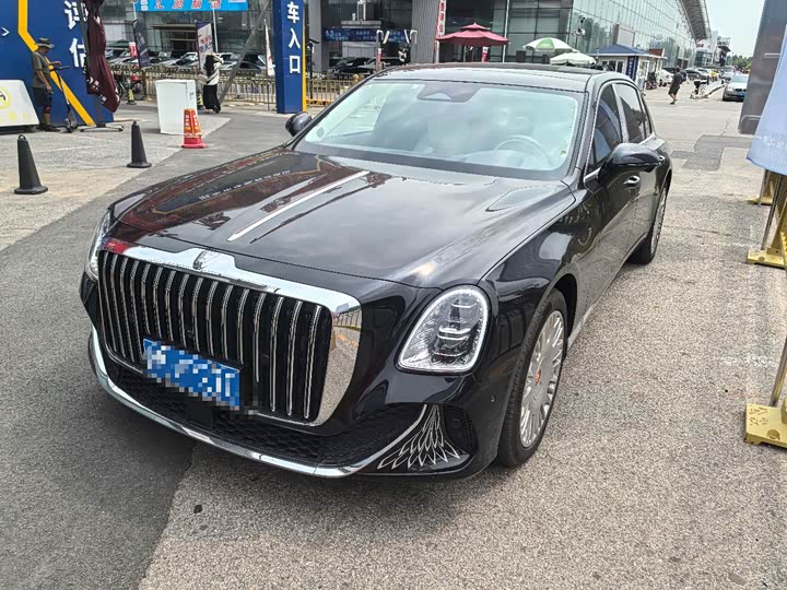 Hongqi Golden Sunflower Guoya 2024 4.0T V8 version
