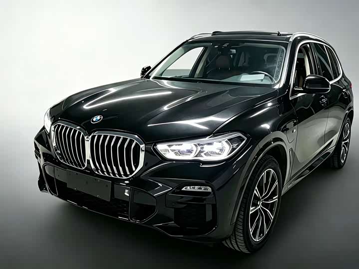 BMW X5 New Energy (Imported) 2021 xDrive45e M Sports Package