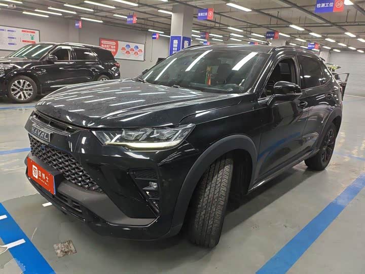 Haval H6S 2022 2.0T two-wheel drive smart running version