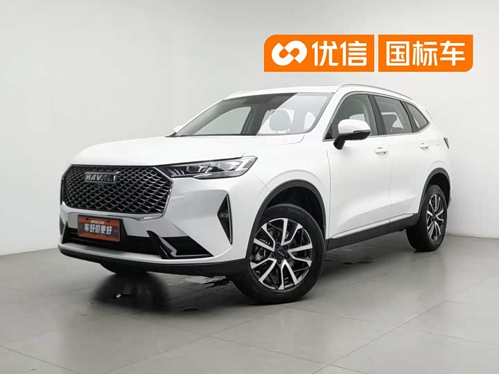 Haval H6 2022 third generation 1.5T automatic two-wheel drive Pro