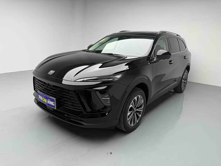 Envision Plus 2026 Envision Plus 28T two-wheel drive platinum version