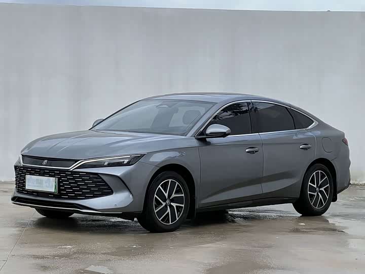 Qin L 2024 DM-i 120KM transcendent model